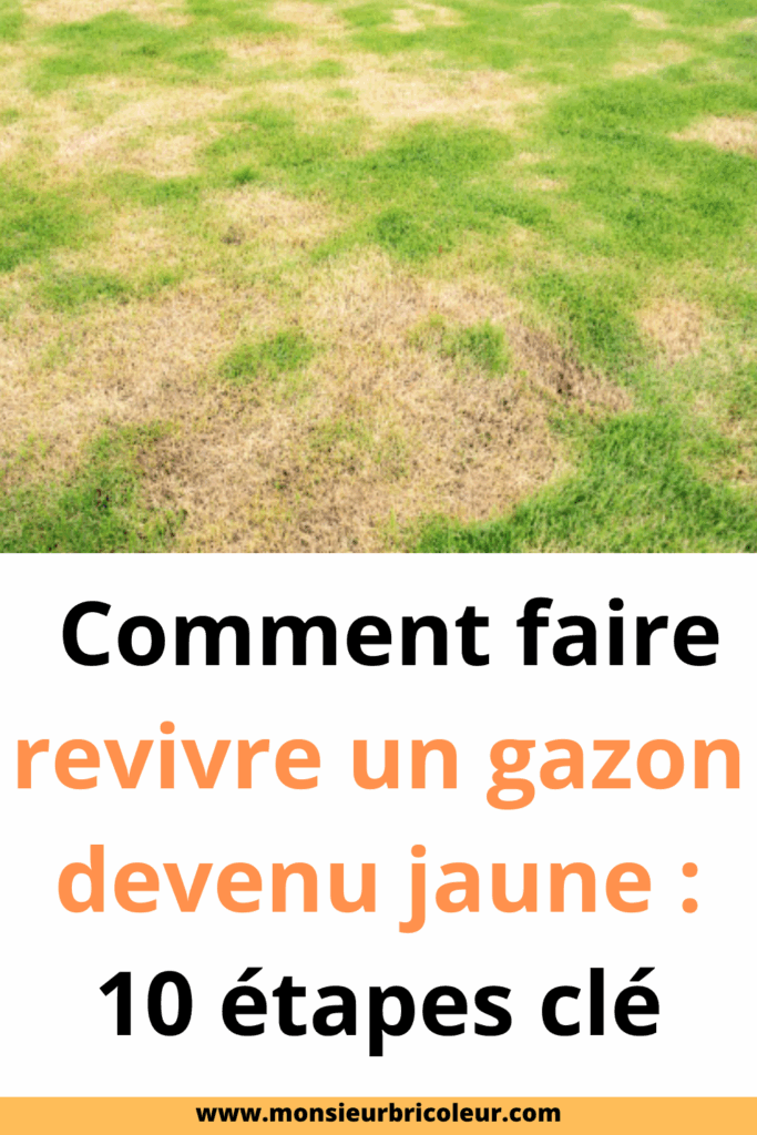 GAZON QUI JAUNIT PAS main image 0